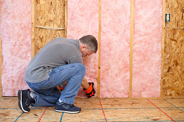 Best Radiant Barrier Insulation  in Parma Heights, OH